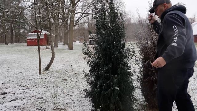HOA Ruins Christmas, $4,000 FINE! смотреть онлайн