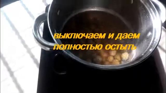 Чистый дом - счастливый дом