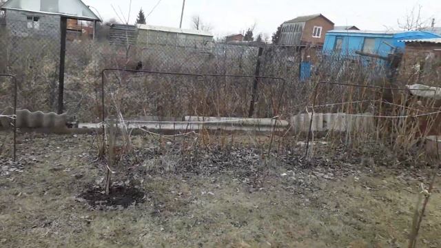 Посадки на даче//Обед #дача смотреть онлайн