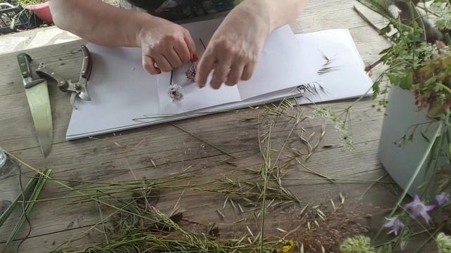 Préparer les paquets avant la cuisson des végétaux Eco Print #2/3 смотреть онлайн
