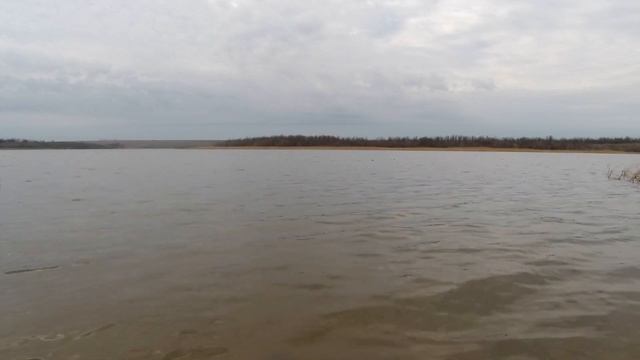 Дзен рыбалка 1/16 Большого Кубка FISH DREAM по фидеру 2021 г в Запорожской области 18 04 2021 смотреть онлайн