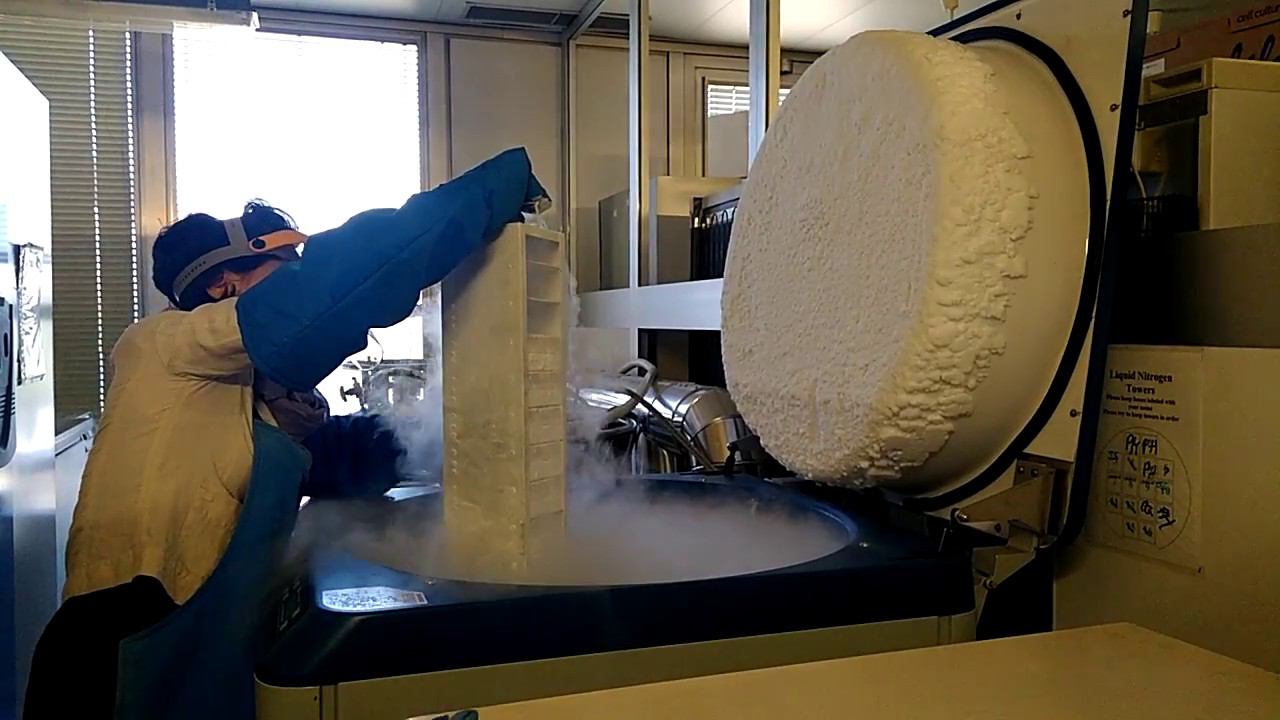 Италия-2017: EMBL Roma смотреть онлайн