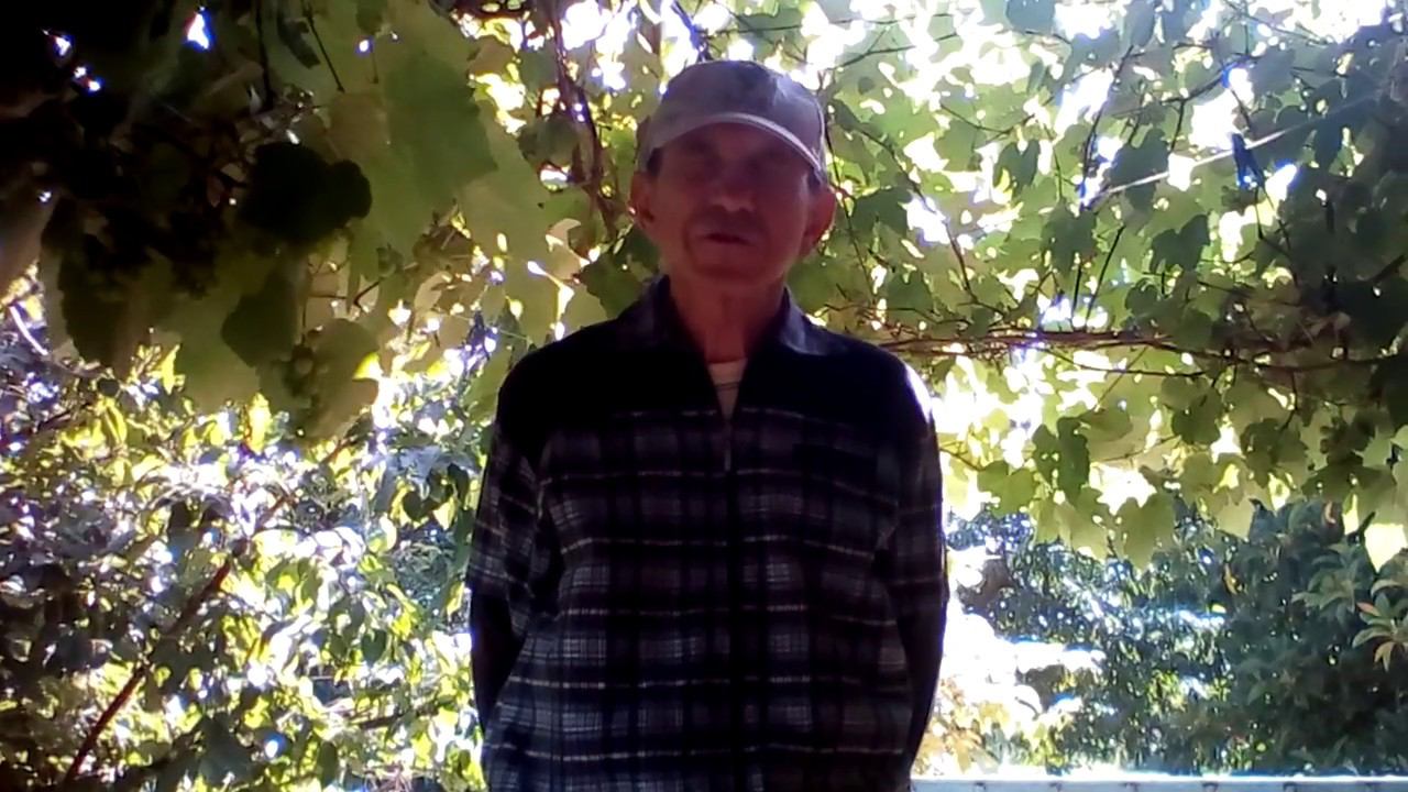 При помощи болезней я очеловечился смотреть онлайн