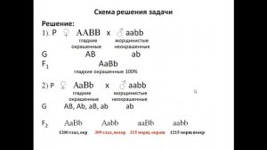Практика 15 Часть 2 Решение задач по Т.Моргану