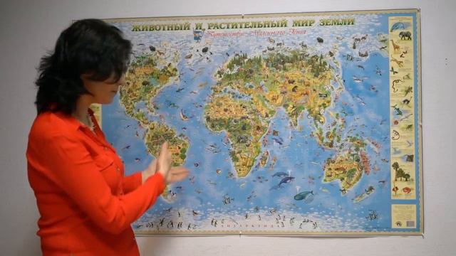 Географические карты для детей смотреть онлайн