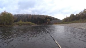 Осенняя рыбалка на Тайдоне. Небольшие таймени и хариус)