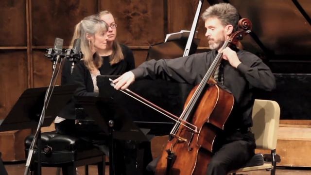 Mendelssohn d minor trio, Op. 49 1st movement, Molto Allegro agitato смотреть онлайн