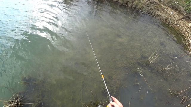 бешенный клёв судака на джиг!! рыбалка на маныче. веселовское водохранилище. смотреть онлайн