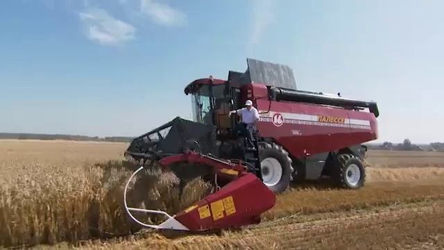 Коля Лукашенко молотит зерно на комбайне