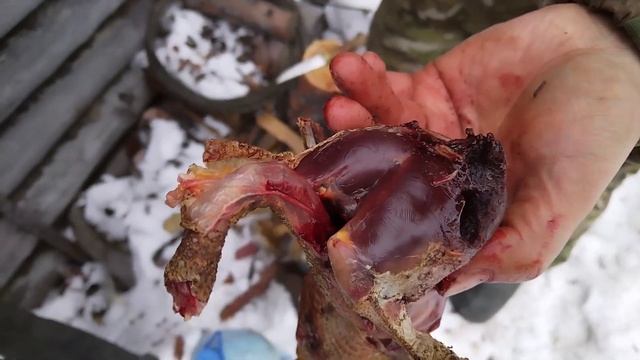 ТАМ ГДЕ НЕТ ЛЮДЕЙ| ДОЛГОЖДАННАЯ ПОЕЗДКА В ТАЙГУ| ДЕНЬ 2 смотреть онлайн