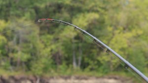 БЕШЕНЫЙ КЛЁВ ЛЕЩА ОДИН ЗА ДРУГИМ! Рыбалка на реке НА ФИДЕР И ДОНКИ 2024