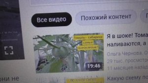 Рассада томатов зацвела дома на окне! Что делать? Нужно ли обрывать первые цветы? Как высаживать?