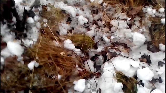 ПРОВЕРЯЮ ПЕТЛИ ИЗ СВАРОЧНОЙ ПРОВОЛОКИ. смотреть онлайн