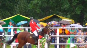 Конкур. Преодоление препятствий на гнедой лошади.