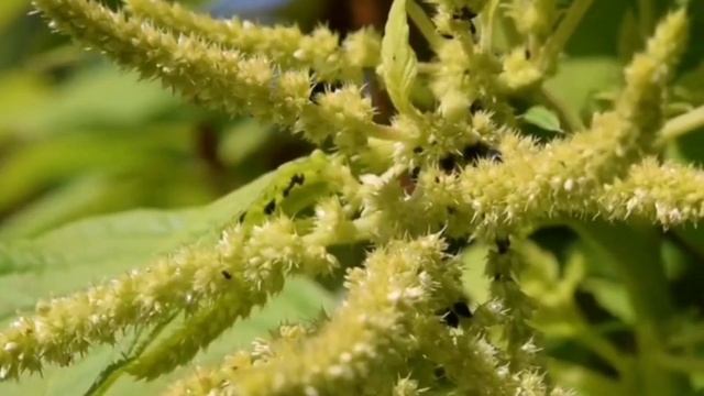 Маски для ухода