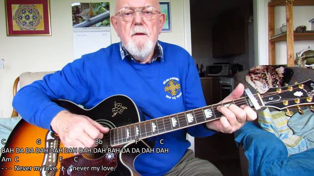 Guitar: Never My Love (Including lyrics and chords) смотреть онлайн