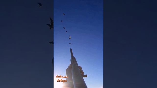 #ОХОТА НА ГУСЯ#КРАСИВЫЙ НАЛЕТ#ТРИ ГУСЯ#СУПЕР# смотреть онлайн