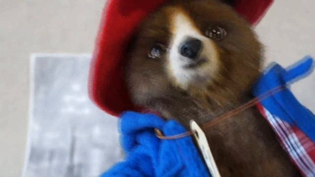 Мишка Паддингтон смотреть онлайн