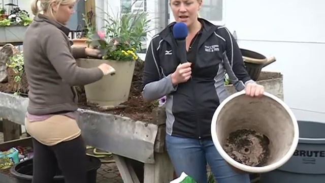 Master Gardeners - Container Gardening смотреть онлайн