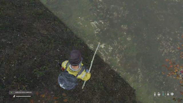COMO CONSEGUIR COMIDA FÀCIL PESCANDO GUIA DE SOBREVIVÊNCIA - DAYZ смотреть онлайн