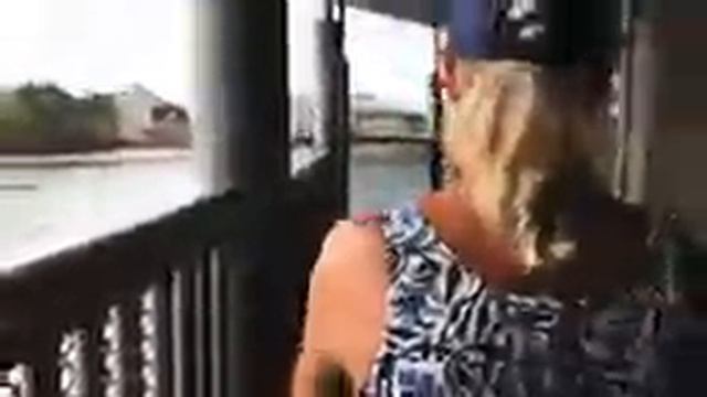 Крокодиловая ферма в Паттайе. смотреть онлайн