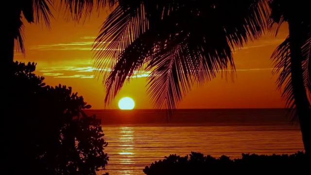 Ricardo Kwiek* II смотреть онлайн