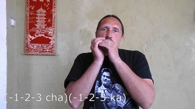 Губная гармошка С, шафл в стиле Сонни Терри для начинающих, табы смотреть онлайн