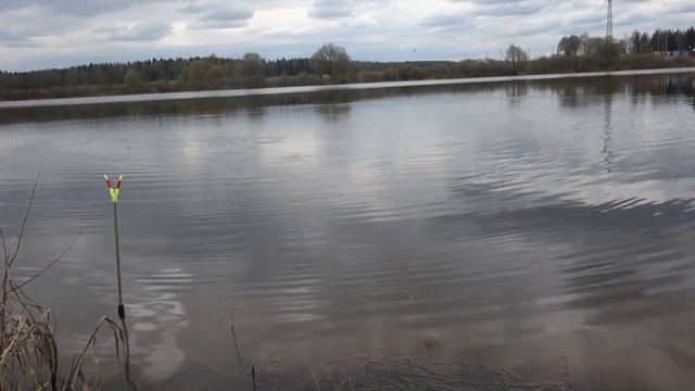 За крупной уклейкой с поплавком смотреть онлайн