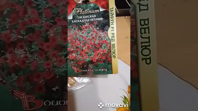 Петуния посев на рассаду правильно 2 часть🌸 смотреть онлайн