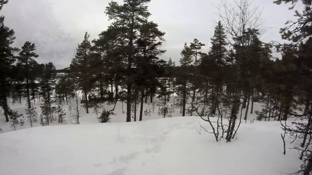 Койонсаари (Автор Данцева Дарья) смотреть онлайн