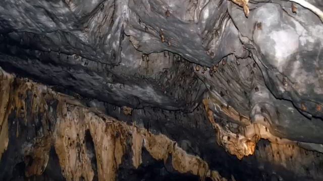 Puerto Princessa, Palawan Trip Oct.2007 смотреть онлайн