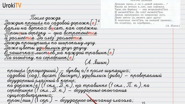 Упражнение №113 — Гдз по русскому языку 6 класс (Ладыженская) 2019 часть 1 смотреть онлайн