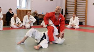 Семинар по Ёсинкан Айкидо и Айкисамбо. Применение ударов в сочетании с бросками и контролями айкидо