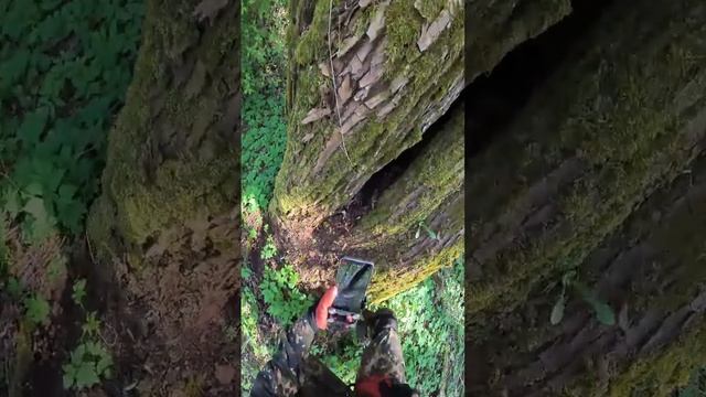 Crazy find inside this tree... смотреть онлайн