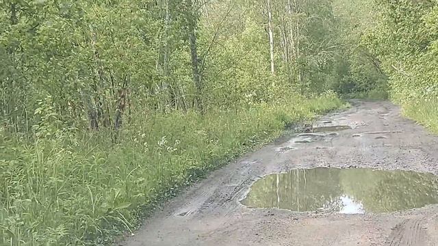 Заброшенная деревня Ояжа ? Cherry Tiggo 7 Pro 25000 пробега?Все хорошо? смотреть онлайн