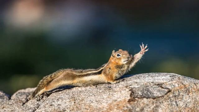 Tutorial Di Fotografia - La Profondità Di Campo