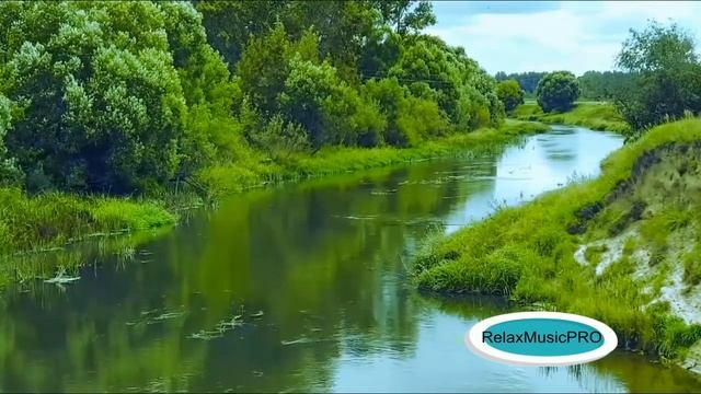 Пение птиц под нежную музыку смотреть онлайн