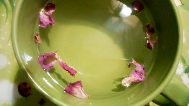 Чайная роза ? как заготовить, где использовать смотреть онлайн