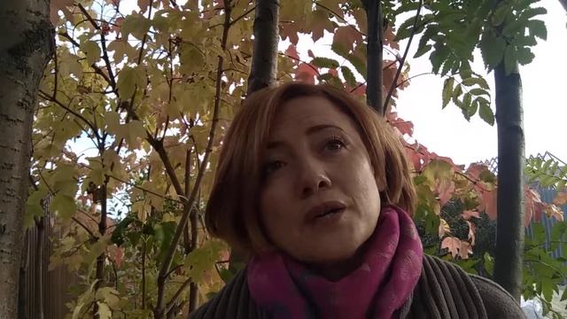 Как долго вы шьёте свои игрушки? смотреть онлайн