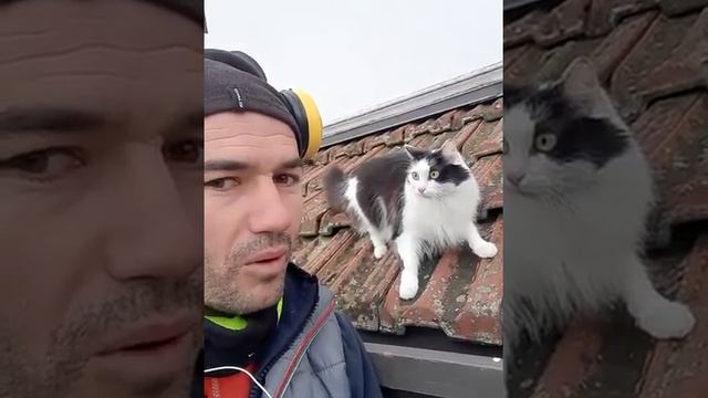 Издевательства над пушистым смотреть онлайн