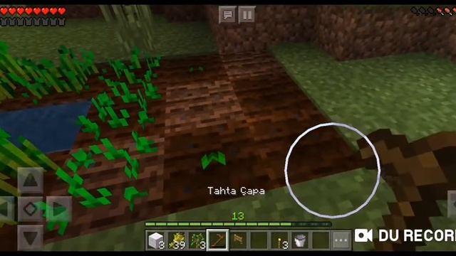 Minecraft çiftlik, Tarla, çit Kapısı Ve çit Yapımı