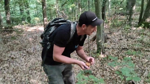 Косів 2022. Гриби. смотреть онлайн