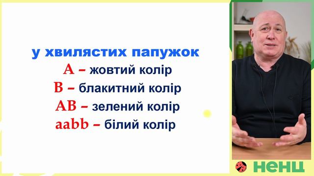 Взаємодія генів. Курс "Загальна біологія" смотреть онлайн