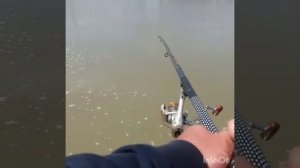 Рыбалка в КБР!!! ОХОТА НА ЧЕРНОПУЗА!!!!