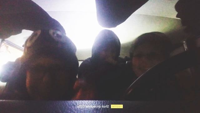 Празднуем 20 подписчиков!