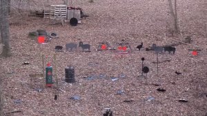 Ed Brown Special Forces 1911 Big Game Hunt