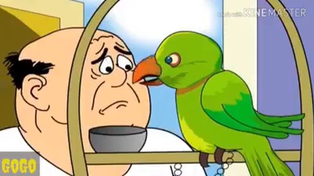 Nonte Fonte Galagali смотреть онлайн