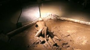 Mud Wrestling Inaugural Event Matches 1 and 2-Adult only
