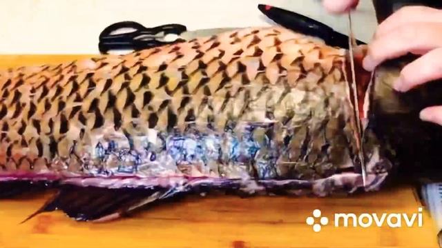 Разделка 12 килограммового дикого сазана ? из НИЖНЕЙ ВОЛГИ смотреть онлайн