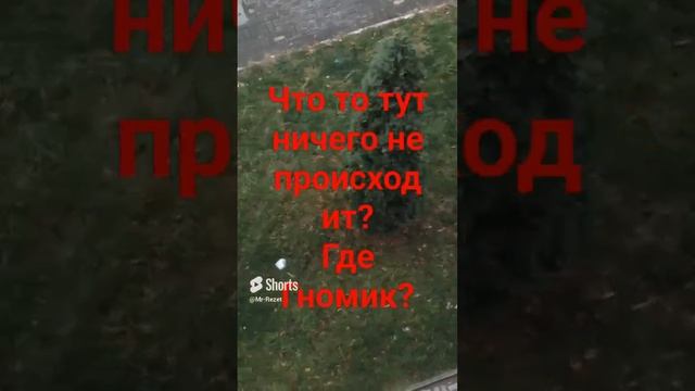 Что тут происходит? Вы видели Гнома? Лично я нет..mp4